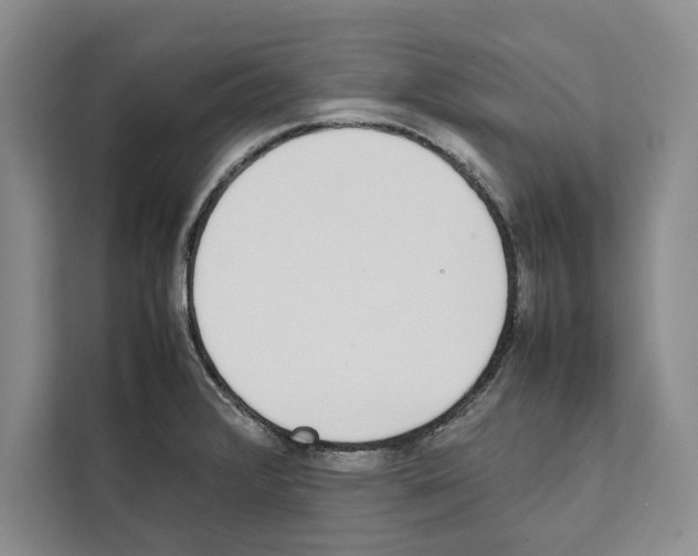 X0000111651376200908281040