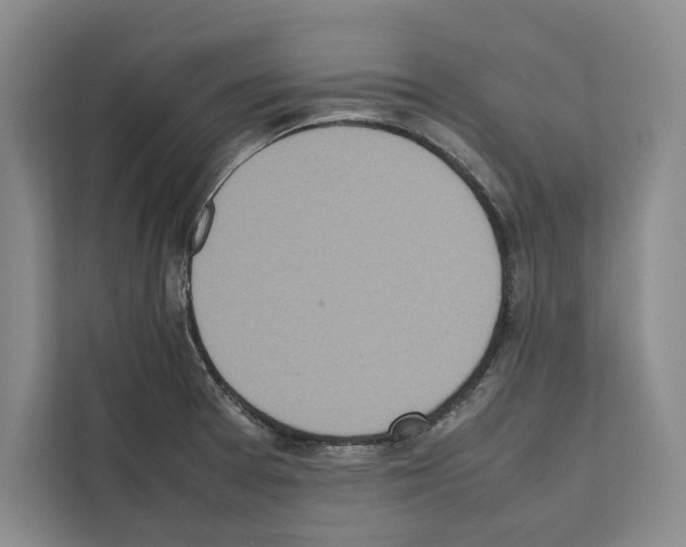 X0000111651377200908281040