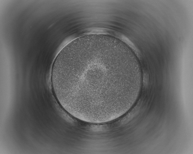 X0000111651378200908281040