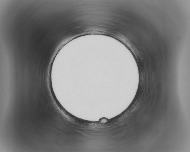 X0000111651379200908281040