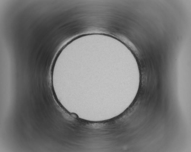 X0000111651380200908281040
