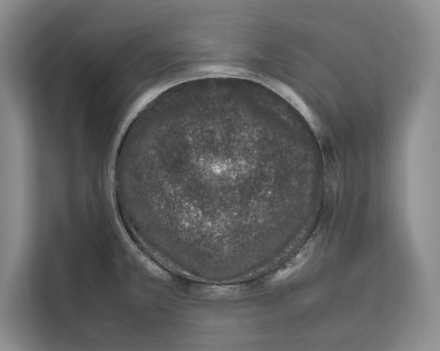 X0000111651381200908281040