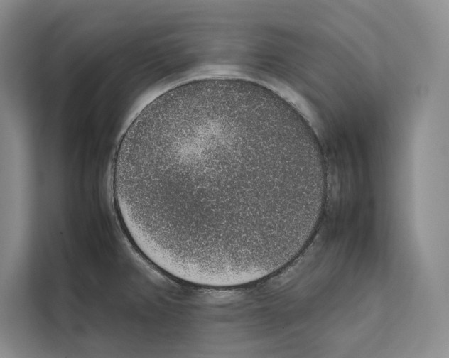 X0000111651382200908281040