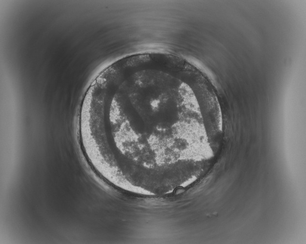 X0000111651383200908281040