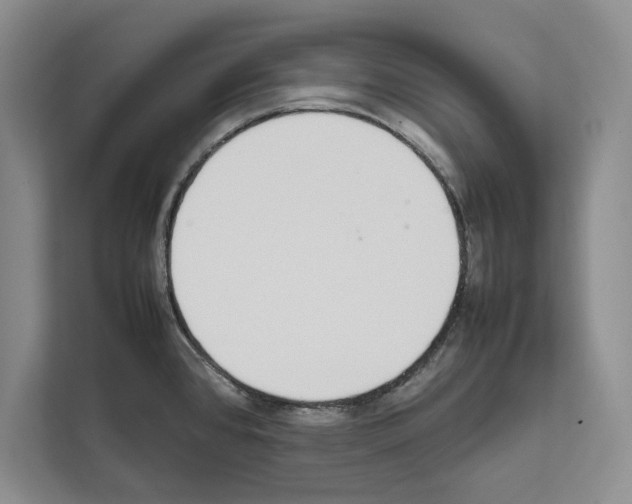 X0000111651384200908281040