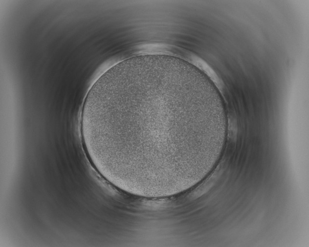 X0000111651386200908281040