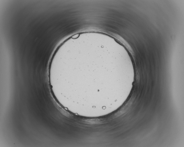 X0000111651388200908281040
