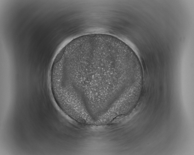 X0000111651389200908281040