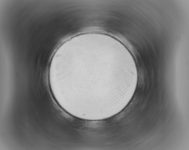 X0000111651390200908281040