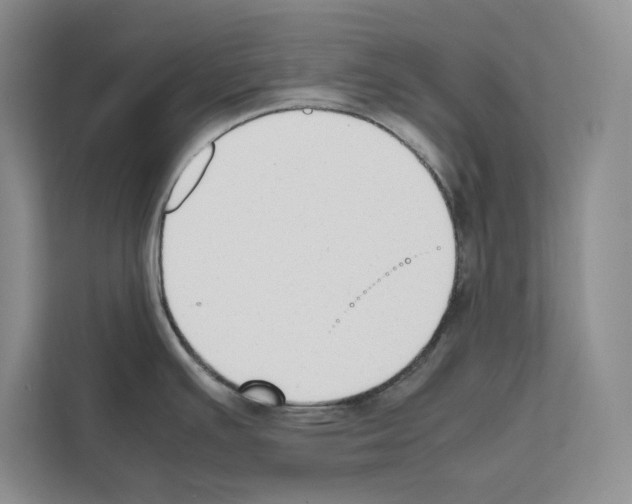 X0000111651391200908281040