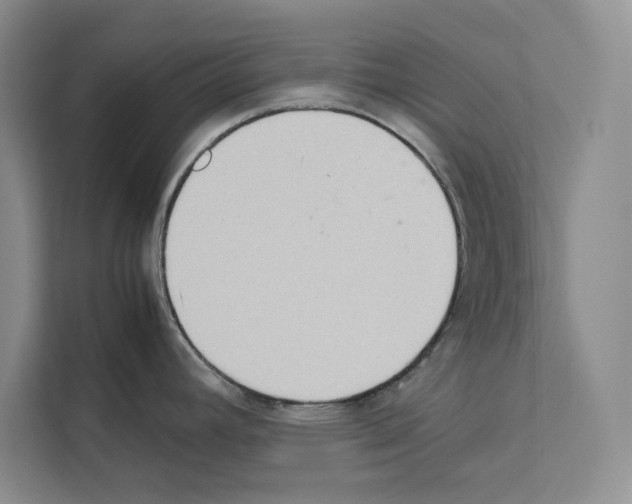 X0000111651392200908281040