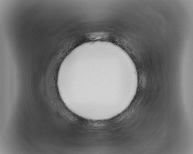 X0000111651393200908281040