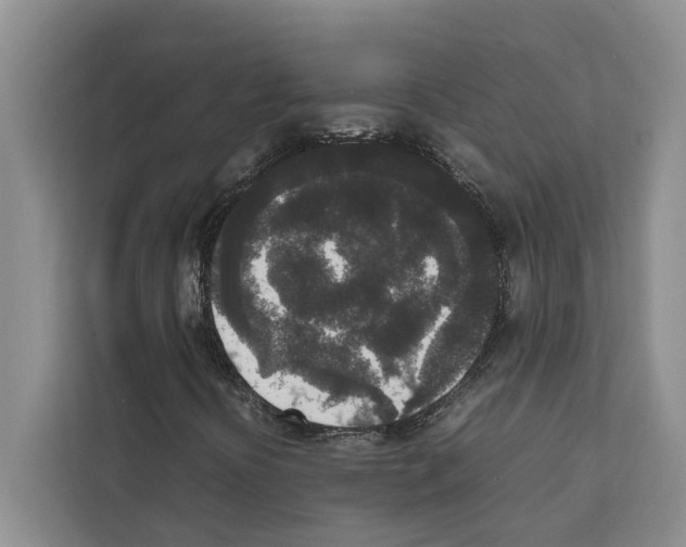 X0000111651394200908281040