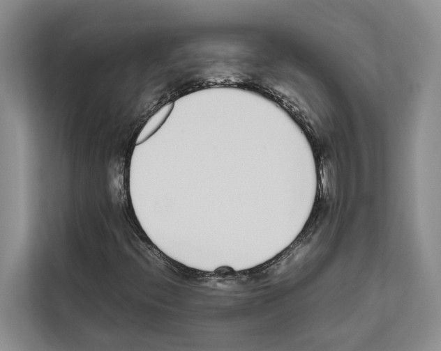 X0000111651396200908281040