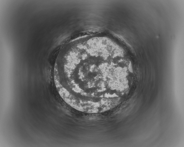 X0000111651399200908281040