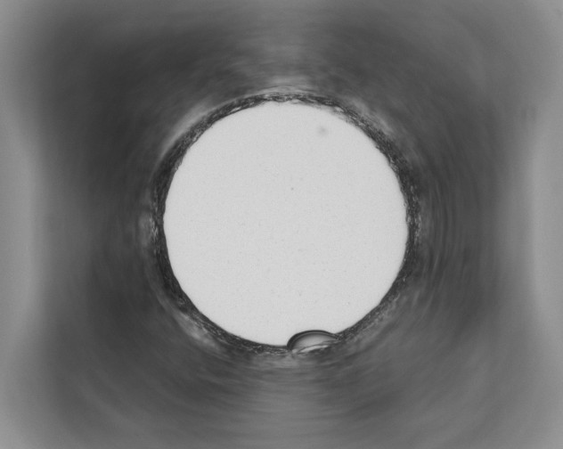 X0000111651400200908281040
