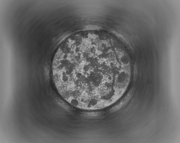 X0000111651401200908281040