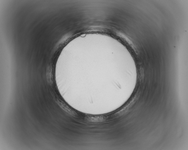 X0000111651403200908281040