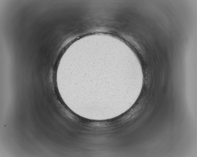 X0000111651404200908281040
