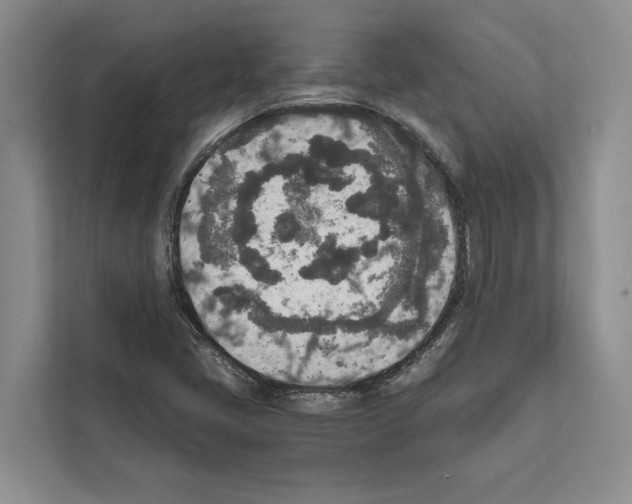 X0000111651405200908281040
