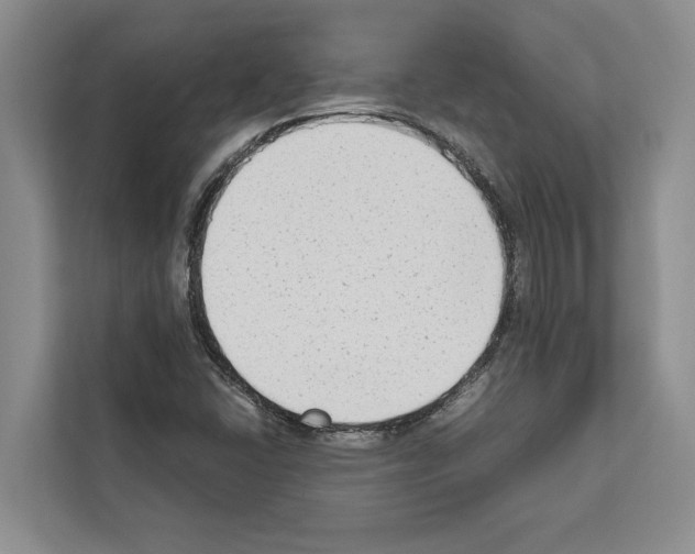 X0000111651406200908281040
