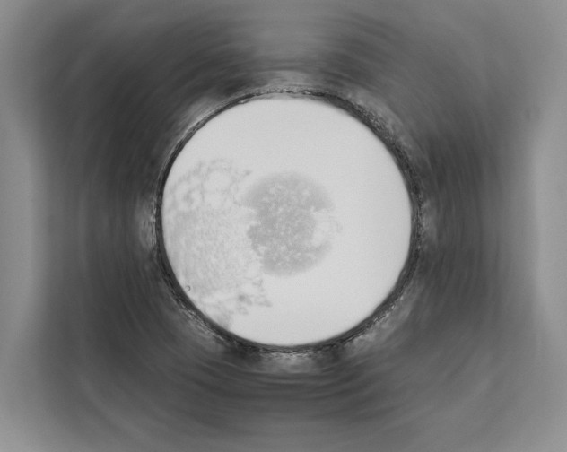 X0000111651409200908281040