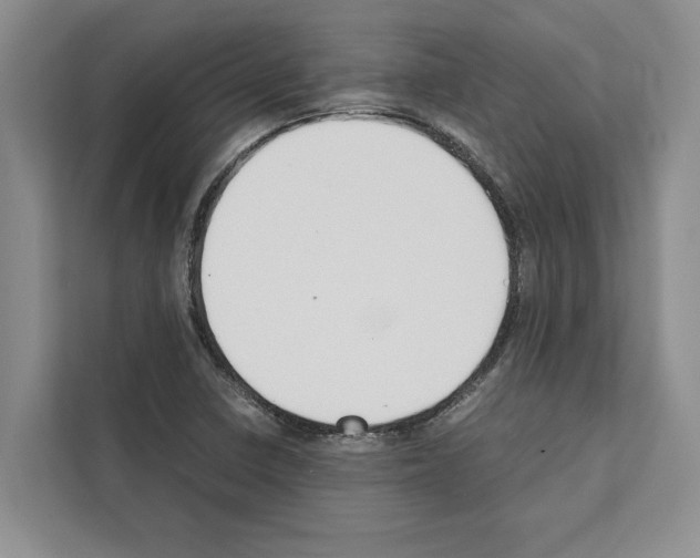 X0000111651410200908281040