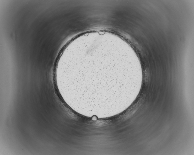 X0000111651412200908281040