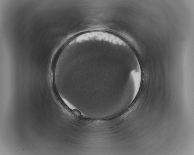 X0000111651414200908281040
