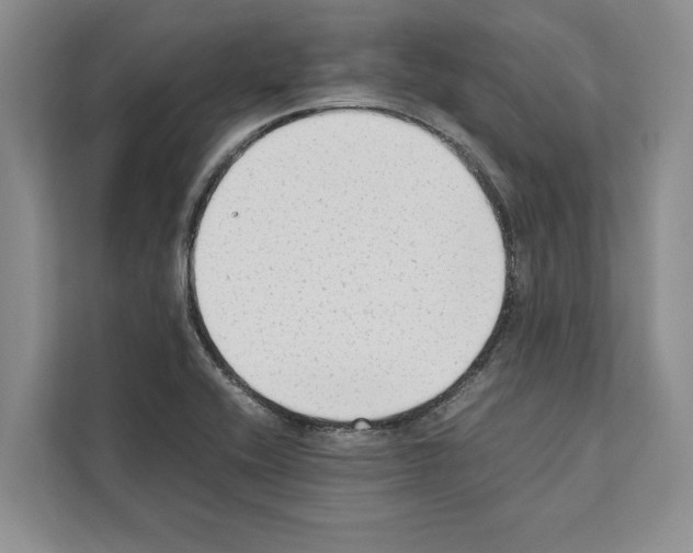 X0000111651416200908281040
