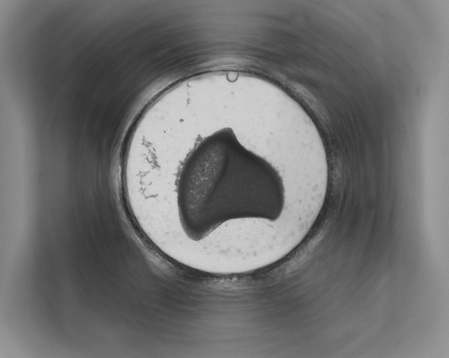 X0000111651418200908281040