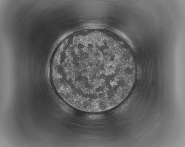 X0000111651419200908281040