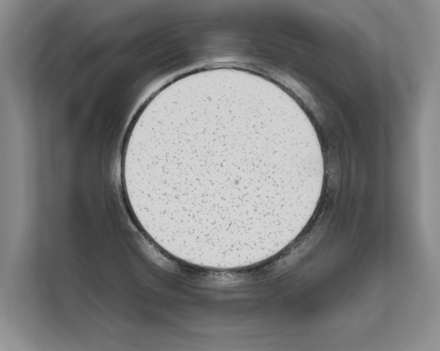X0000111651420200908281040