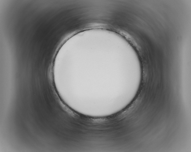 X0000111651421200908281040