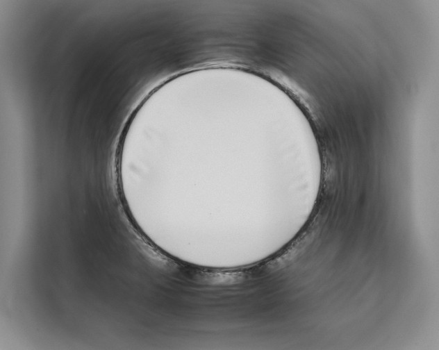 X0000111651423200908281040