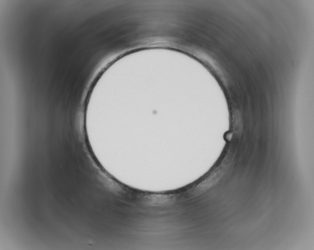 X0000111651424200908281040