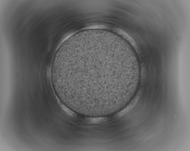 X0000111651425200908281040