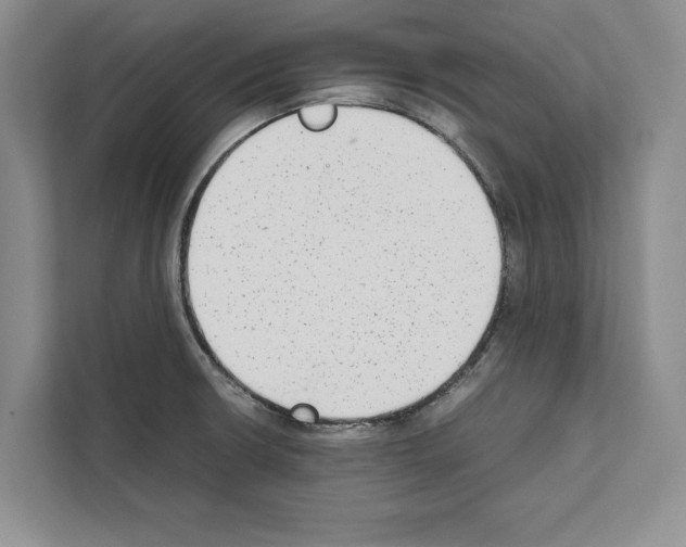 X0000111651426200908281040