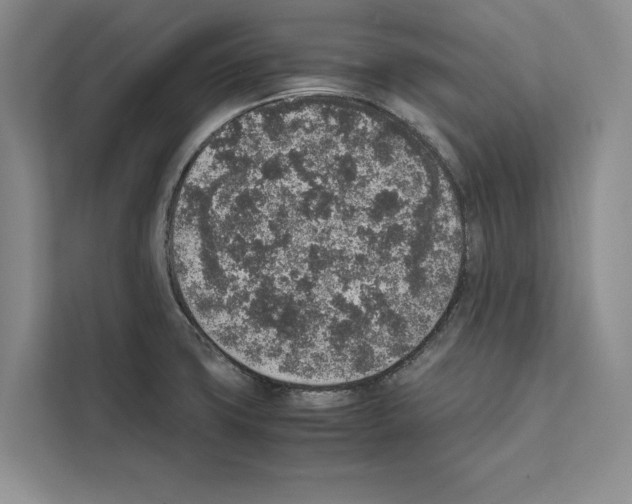X0000111651427200908281040