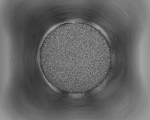 X0000111651429200908281040