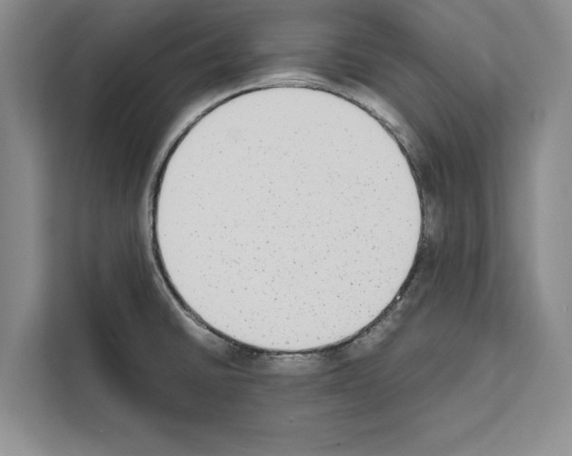 X0000111651430200908281040