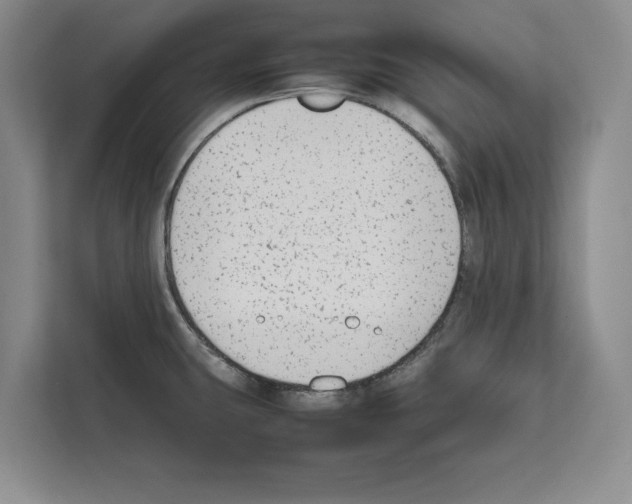 X0000111651431200908281040