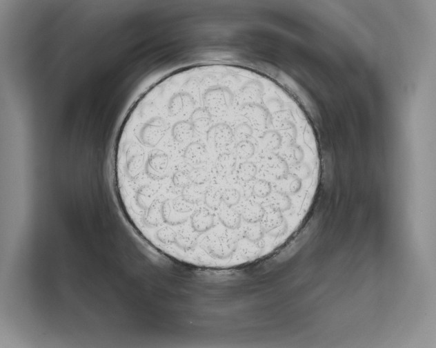 X0000111651432200908281040