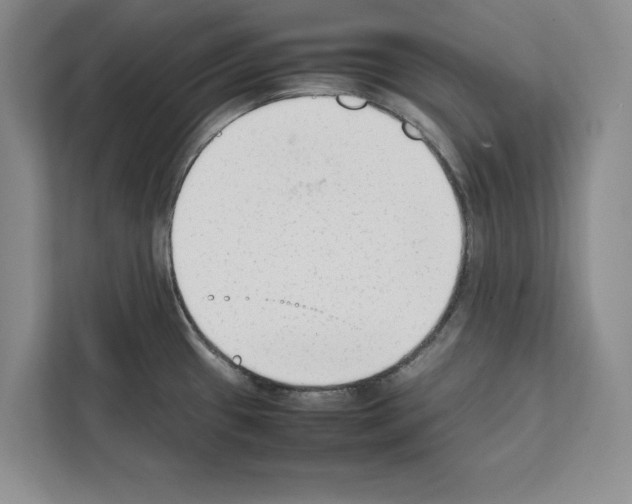 X0000111651433200908281040