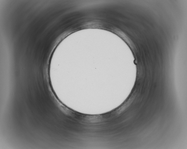 X0000111651434200908281040