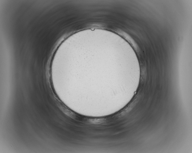 X0000111651435200908281040