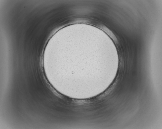 X0000111651436200908281040