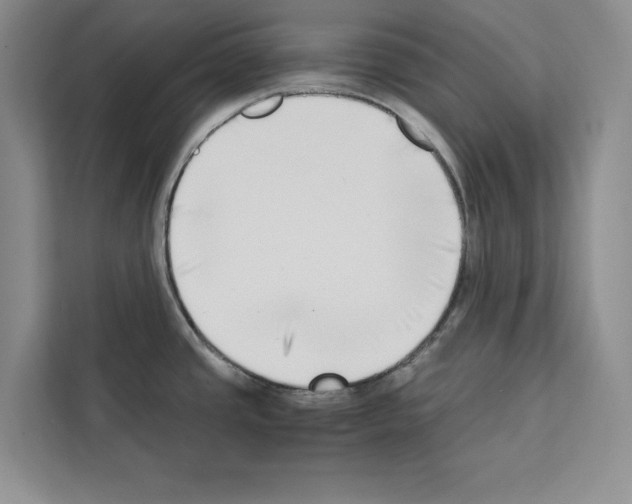 X0000111651437200908281040