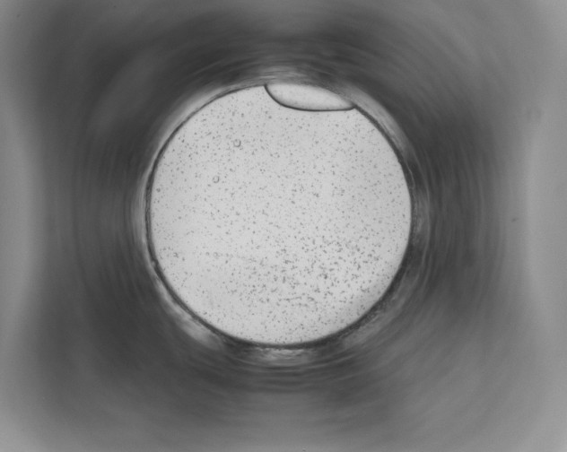 X0000111651439200908281040