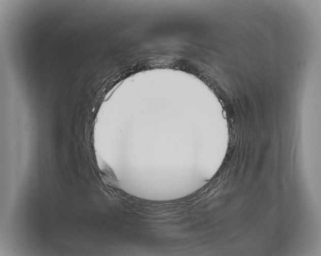X0000111651441200908281040